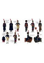 LES DRAPEAUX DE LA REVOLUTION ET DE L'EMPIRE. L'INFANTERIE 1786-1815 de