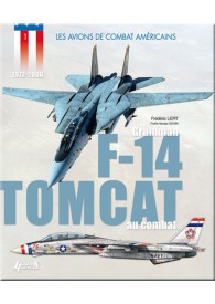 F-14 TOMCAT - Avions...