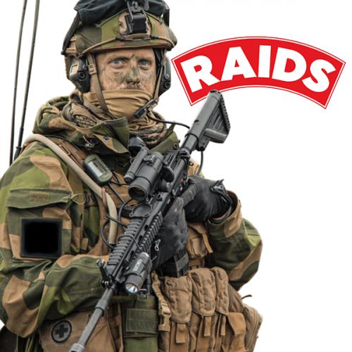 Raids